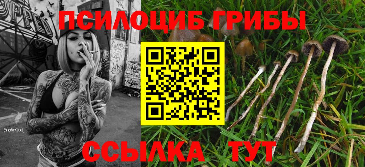 Галлюциногенные грибы Magic Shrooms  Вход с VPN  Иваново 